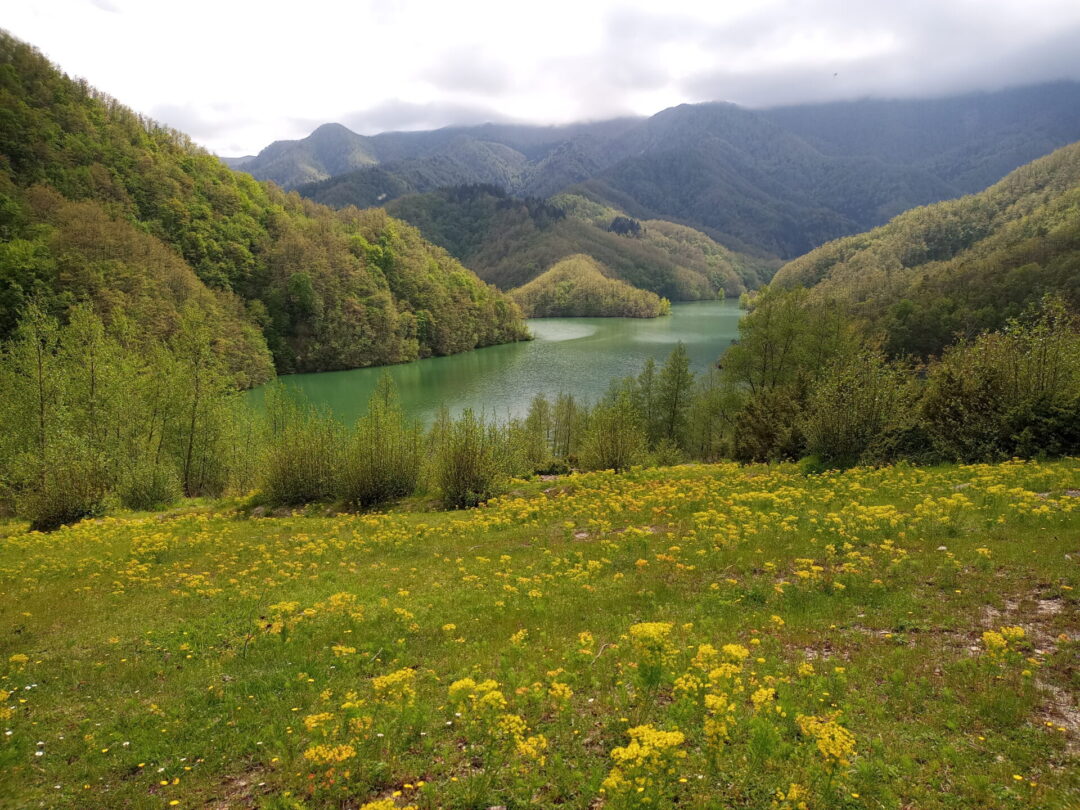 Trekking al Lago di Ridracoli